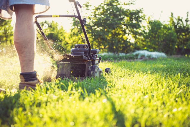 A lawn being mowed.